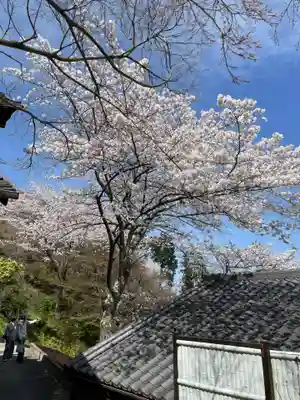 善峯寺(京都府)