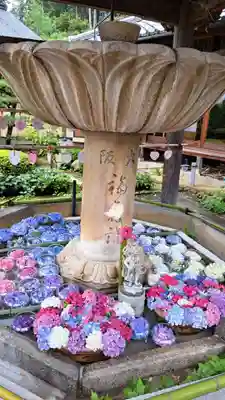 三室戸寺(京都府)