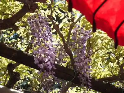 立木神社の自然