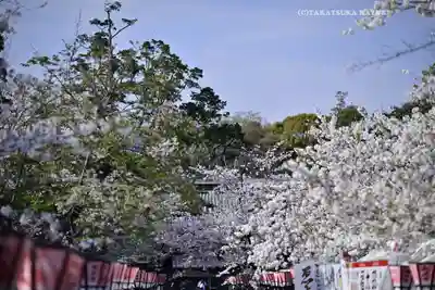 三嶋大社(静岡県)