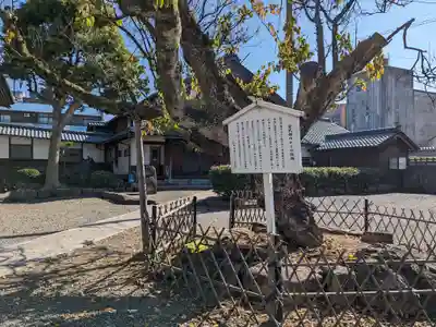 本興寺(福井県)
