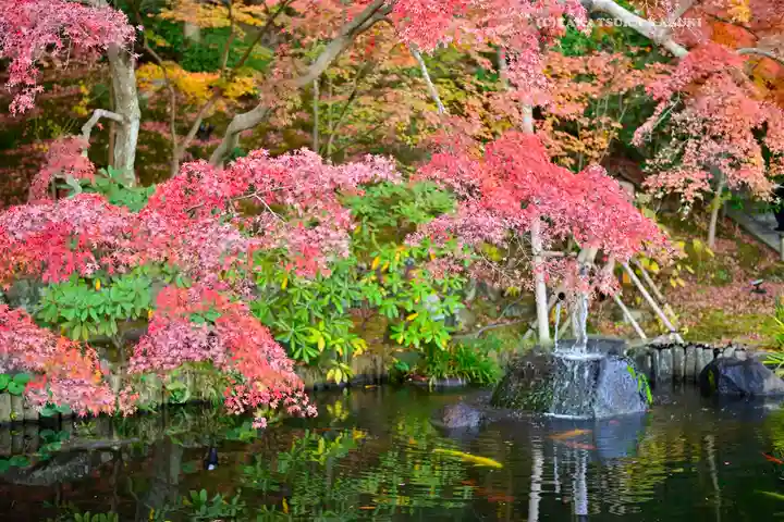 長谷寺(神奈川県)