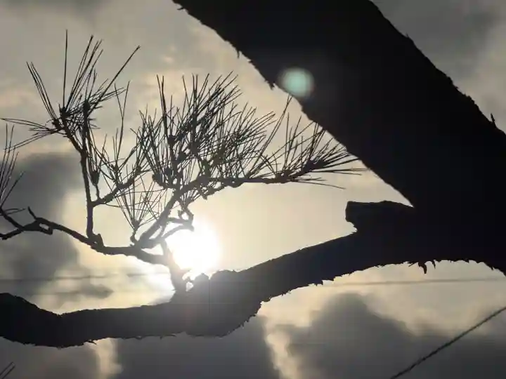 西方山極楽寺(岐阜県)