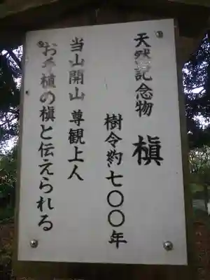 安養院　(田代寺）の歴史