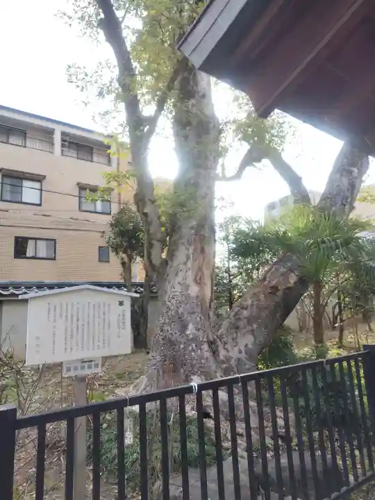 白峯神宮の{uncategorized: "未分類", other: "その他", undefined: "問題あり", building: "その他建物", grave: "お墓", sacred_gate: "鳥居", guardian: "狛犬", statue: "像", buddha: "仏像", history: "歴史", nature: "自然", garden: "庭園", animal: "動物", pagoda: "塔", temizu: "手水舎", mountain_gate: "山門・神門", sanctuary: "本殿・本堂", subordinate: "末社・摂社", art: "芸術", scenery: "景色", jizo: "地蔵", ema: "絵馬", goshuin: "御朱印", omikuji: "おみくじ", items: "授与品その他", amulet: "お守り", goshuincho: "御朱印帳", eats: "食事", festival: "お祭り", votive_dance: "神楽", shichigosan: "七五三参", wedding: "結婚式", experience: "体験その他", initially: "初詣", around: "周辺", anti_infection: "感染症対策"}