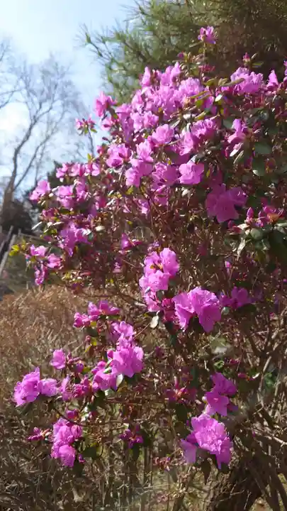 相馬神社(北海道)