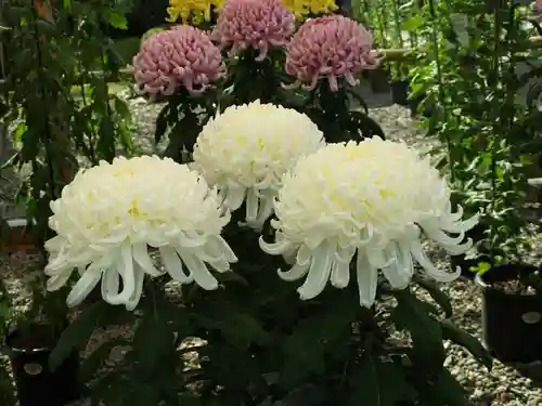笠間稲荷神社(茨城県)