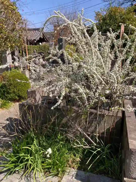 光照寺(神奈川県)