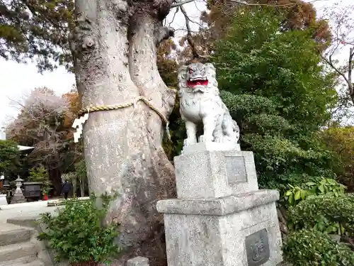 比々多神社(神奈川県)
