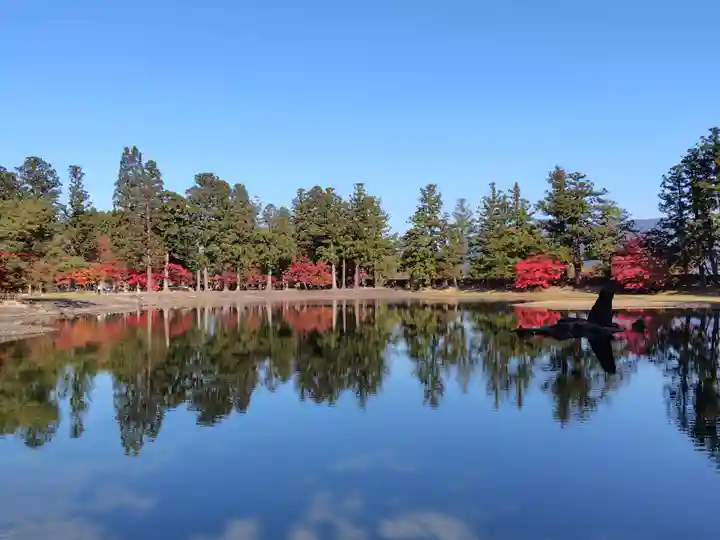 毛越寺(岩手県)