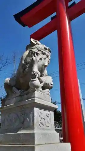 白老八幡神社の狛犬