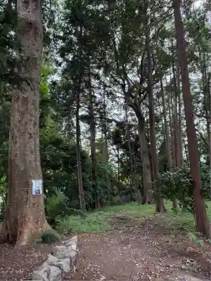 諏訪神社(神奈川県)