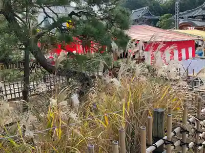 泉岳寺(東京都)