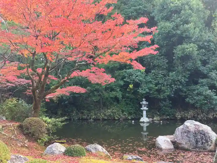 知恩院(京都府)
