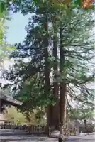 戸隠神社中社のその他建物