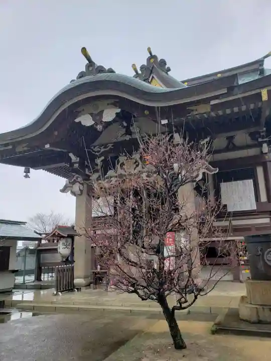 諏訪神社の自然