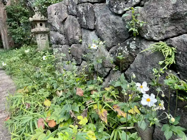 普門院(東京都)