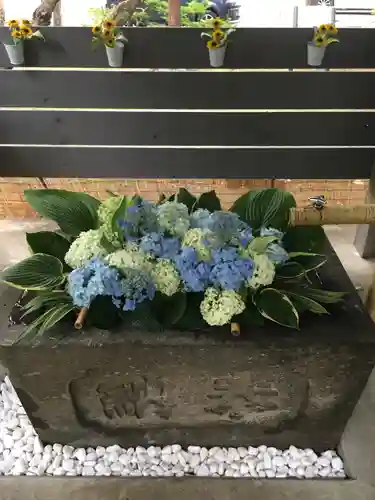 北広島市総鎮守　廣島神社の手水舎