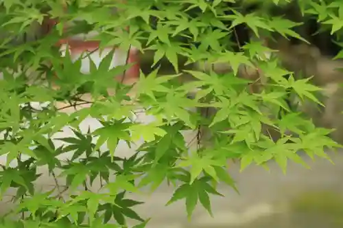 神峯山寺(大阪府)