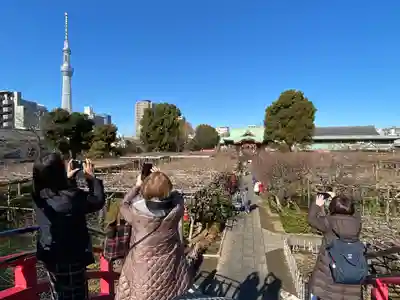 亀戸天神社のその他建物