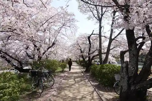 長岡天満宮の景色