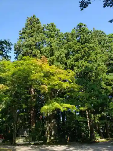 春日山神社の自然