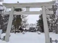 鷹栖神社の鳥居