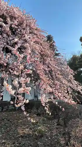 朝日森天満宮の自然
