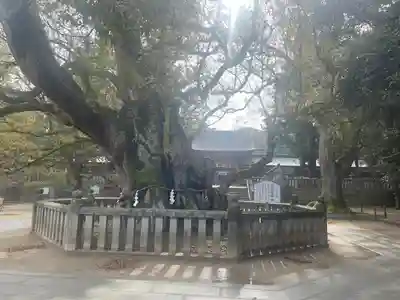 大山祇神社(愛媛県)
