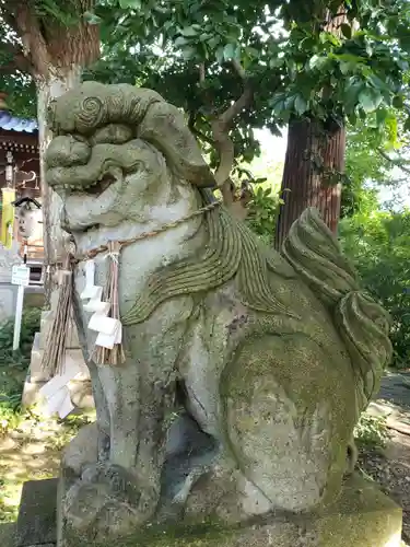 中川熊野神社の狛犬