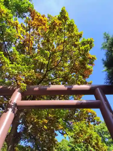 厚別神社(北海道)