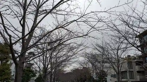 鶴岡八幡宮の自然