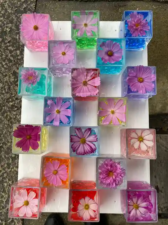 般若寺 ❁コスモス寺❁(奈良県)