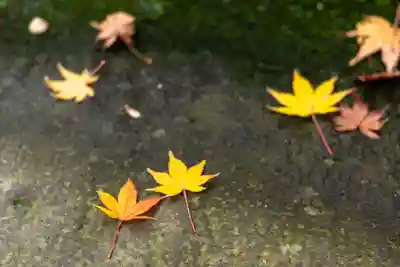 宇佐神宮(大分県)