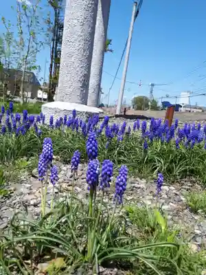 対雁通相馬神社の自然