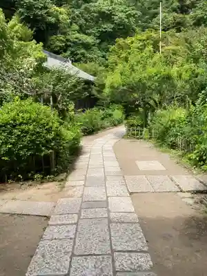 黄梅院(円覚寺塔頭)(神奈川県)
