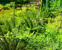 寿量山 速成寺の自然