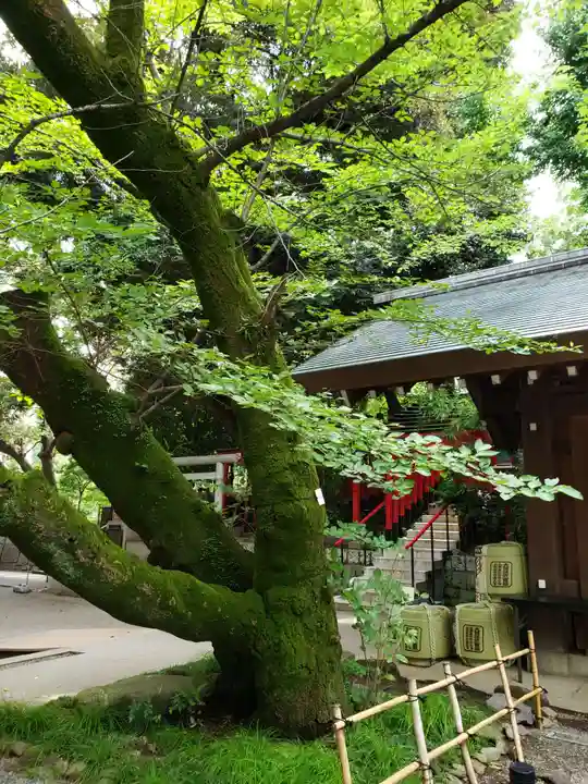 乃木神社(東京都)