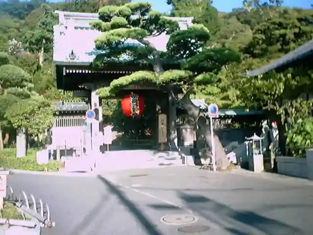 長谷寺の山門・神門