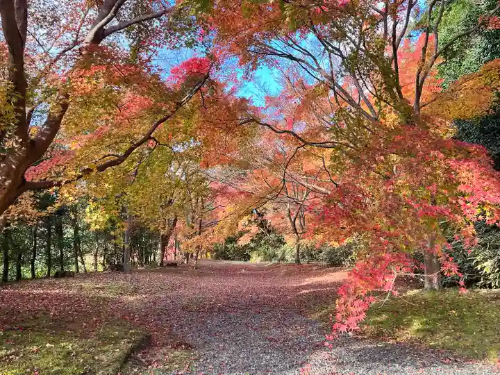 弘川寺(大阪府)