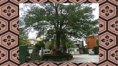 鎮守氷川神社(埼玉県)