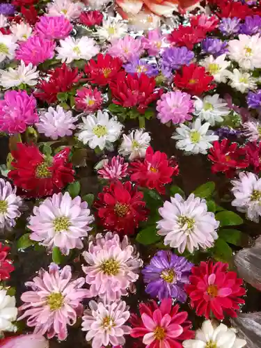 高円寺氷川神社の手水舎