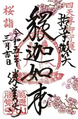 【桜詣】サクラの御朱印