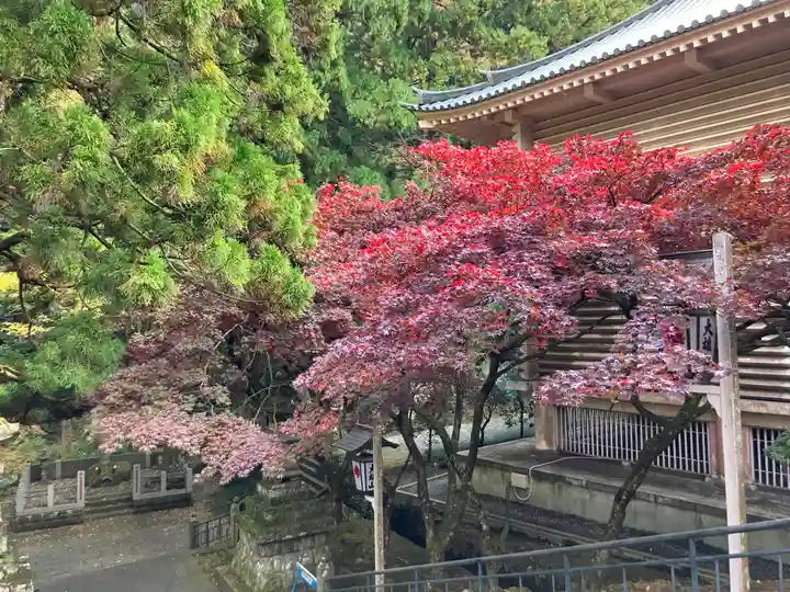最乗寺(道了尊)(神奈川県)