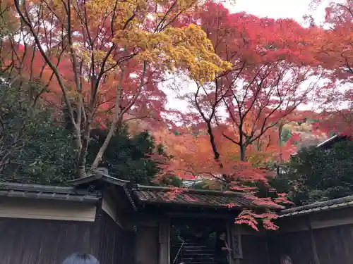 光明寺瑠璃光院の景色