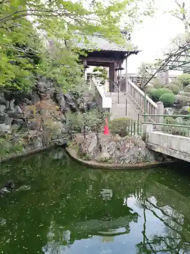 清宝院の庭園