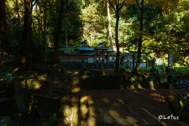 熊野神社(和歌山県)