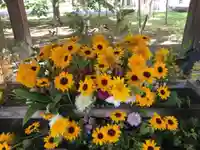 彌彦神社 (伊夜日子神社)の手水舎