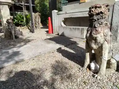 三輪神社の狛犬