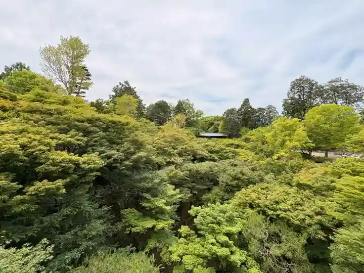 東福禅寺(東福寺)(京都府)